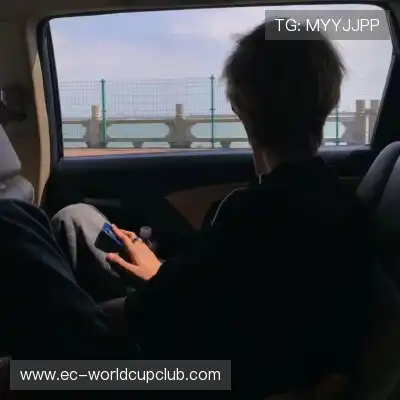 沈秦飚